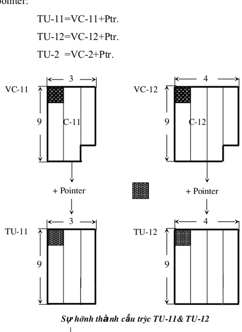 Sự hình th nh cà ấu trúc TU-11& TU-12