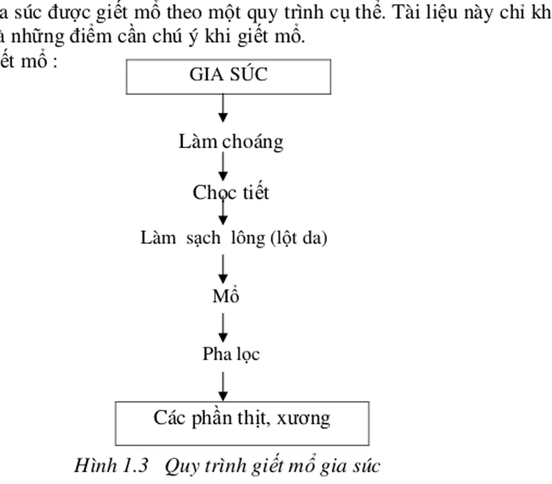 Hình 1.3   Quy trình giết mổ gia súc 