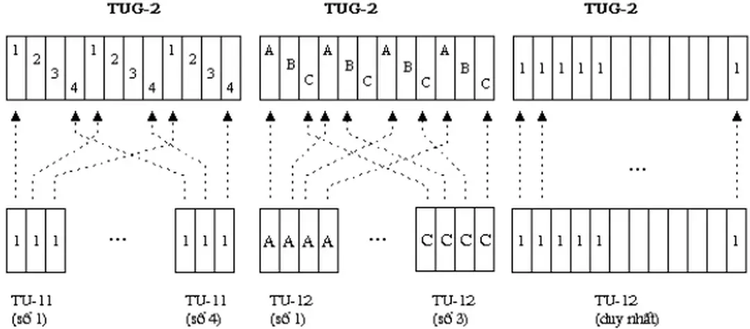 Hình 2.18: Quan hệ giữa TUG-2 và TU-n (n=11, 12 và 2)