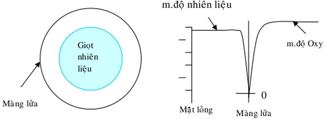 Hình 4.1 Giản đồ ngọn lửa khuếch tán và mật độ các chất phản ứng 