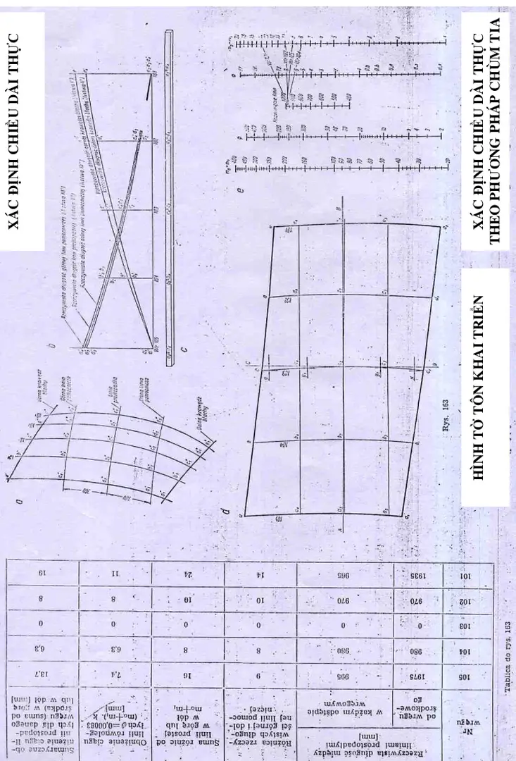 HÌNH CHIẾU TRÊN MẶT CẮT NGANG  TỜ TÔN KHAI  TRIỂN