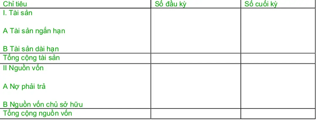 BẢNG CÂN ĐỐI KẾ TOÁN (Dạng dọc)