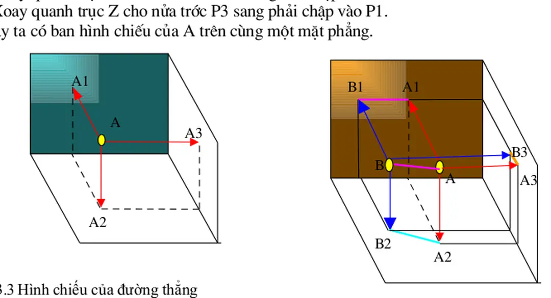 3.4  Hình chiếu của mặt phẳng