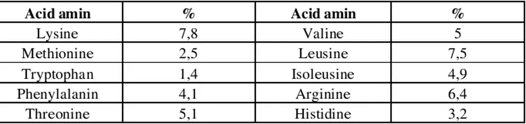 Bảng 2.3: Thành phần acid amin trong thịt heo [5]