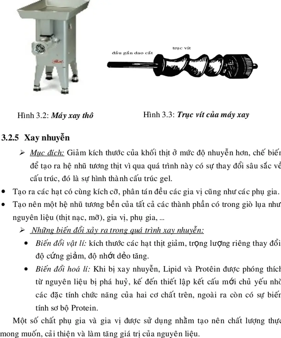 Hình 3.2: Máy xay thô  Hình 3.3: Trục vít của máy xay 