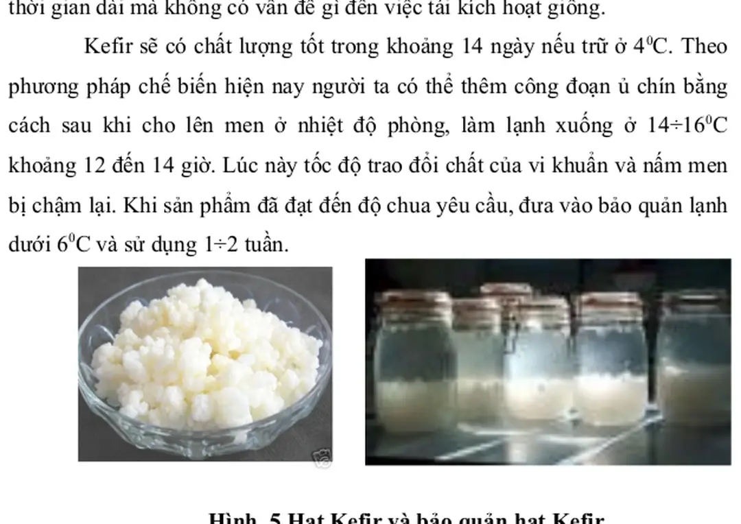 Hình  5 Hạt Kefir và bảo quản hạt Kefir 2.7. Qui trình chế biến 