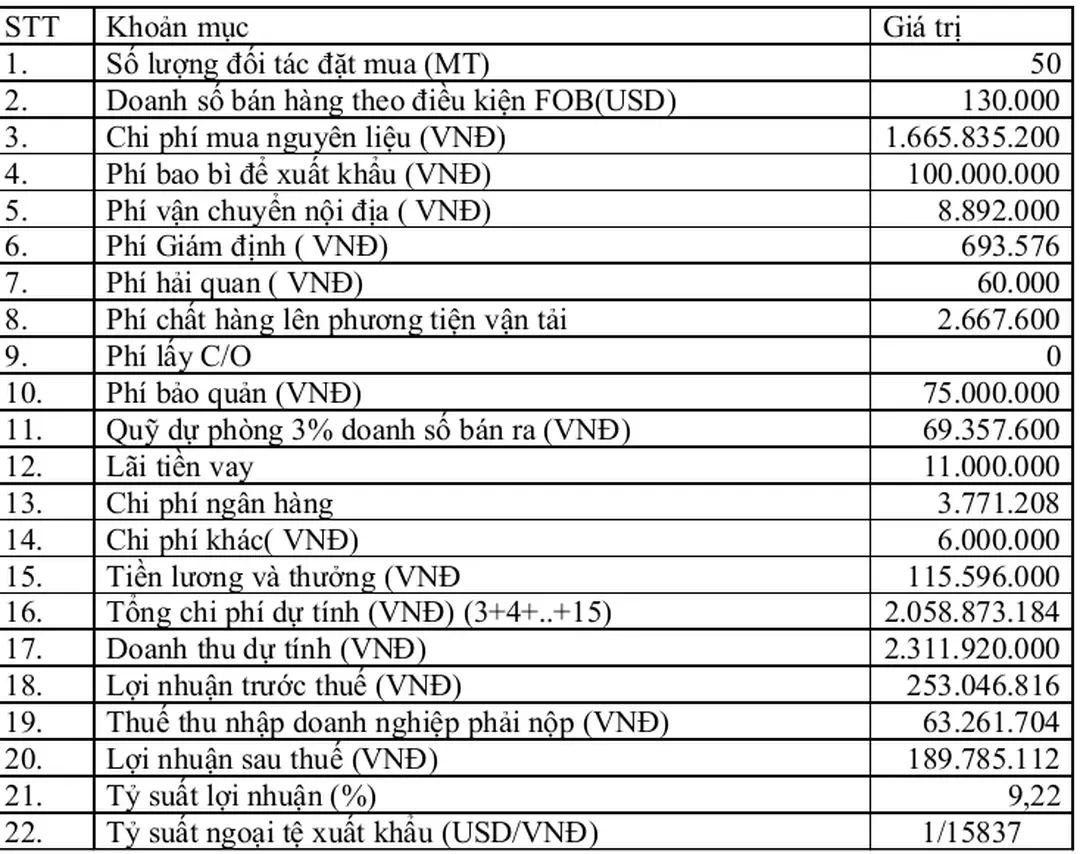 Bảng tổng hợp phân tích tài chính: 