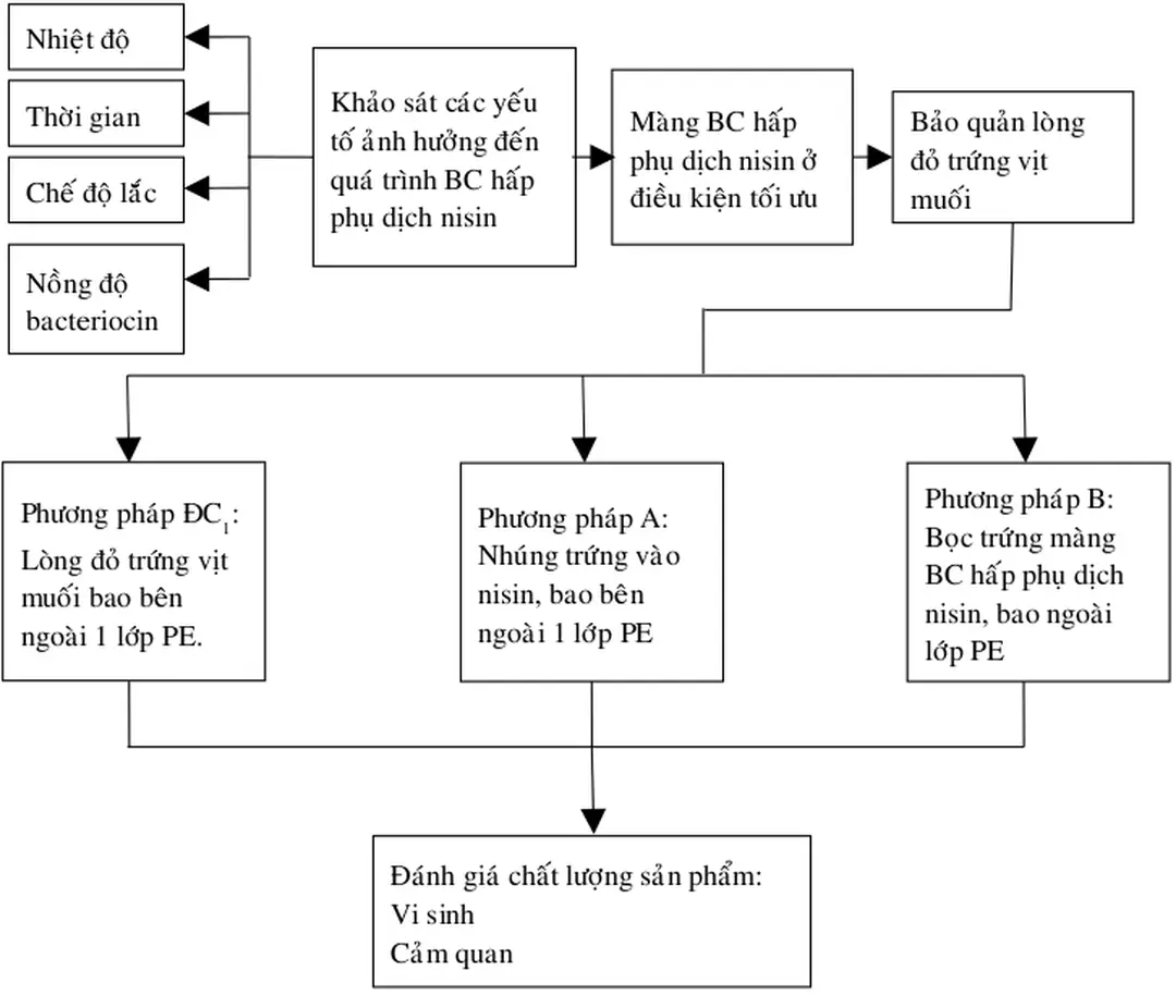 Sơ đồ 2.1. Nội dung các bước thí nghiệm của đề tài.