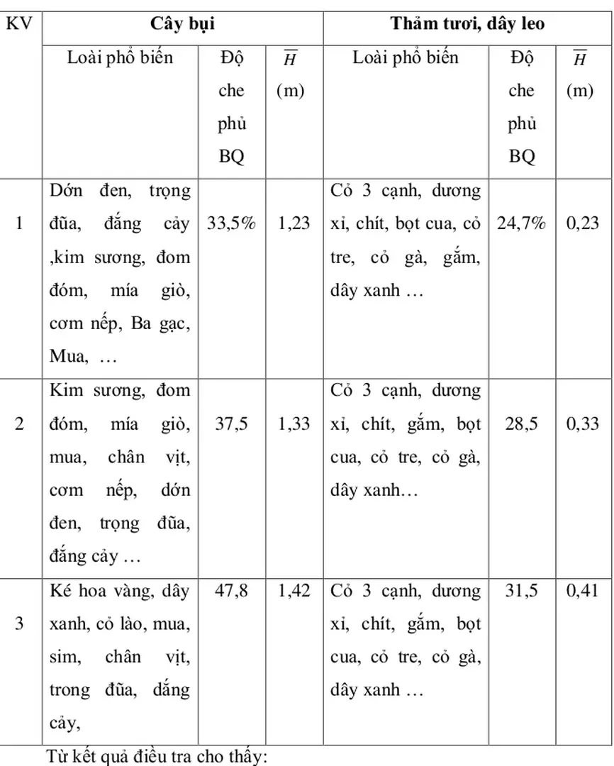 Bảng 4.8.  Đặc điểm tầng cây bụi thảm tươi 