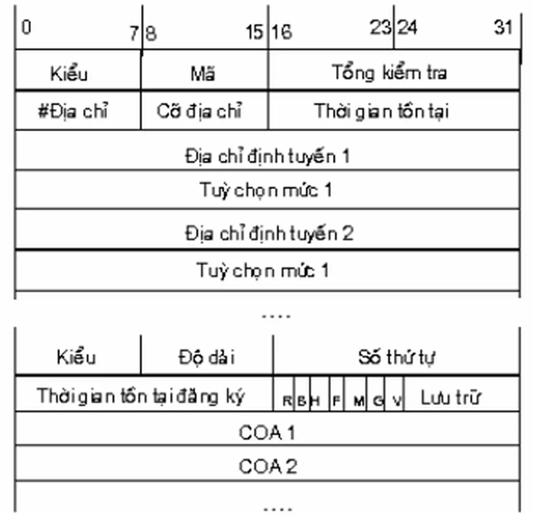 Hình 2.2. Minh họa cấu trúc bản tin thông báo. 