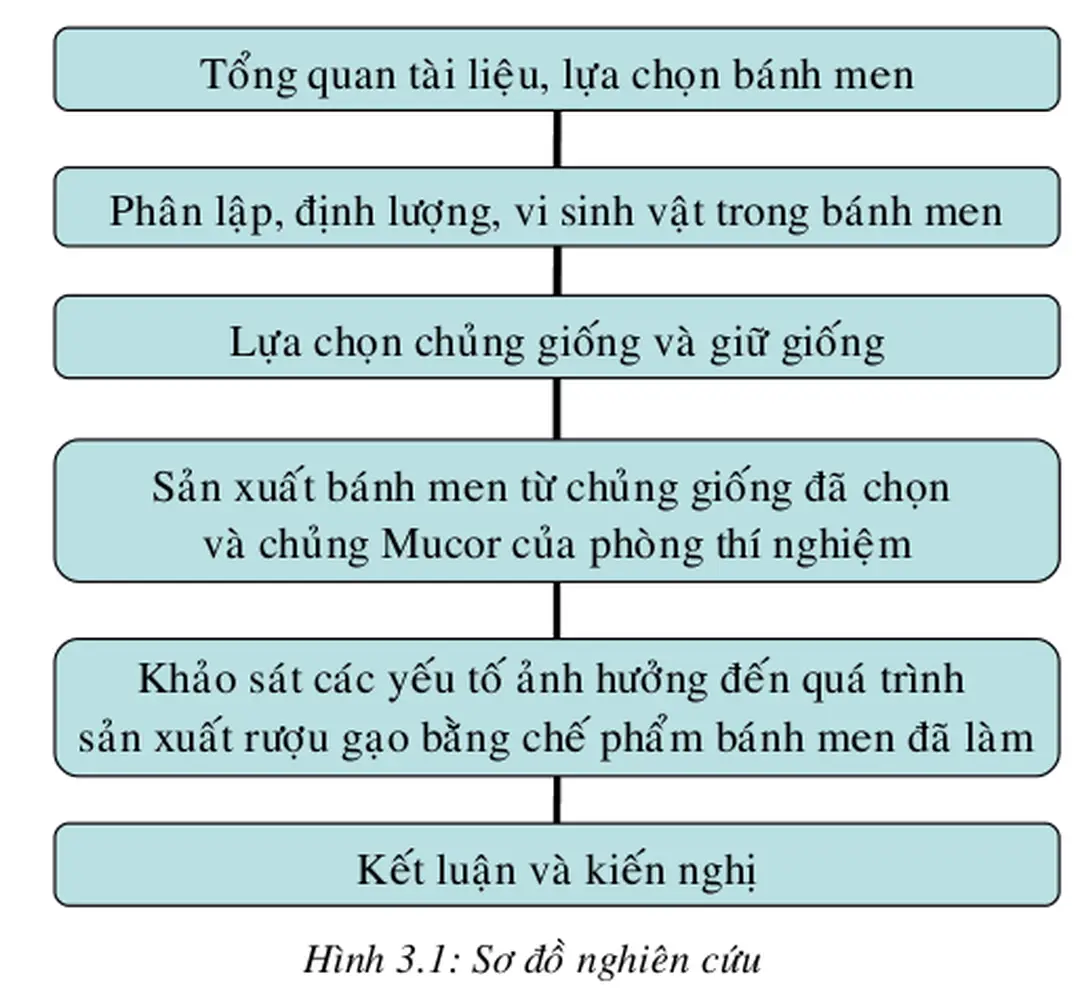 Hình 3.1: Sơ đồ nghiên cứu