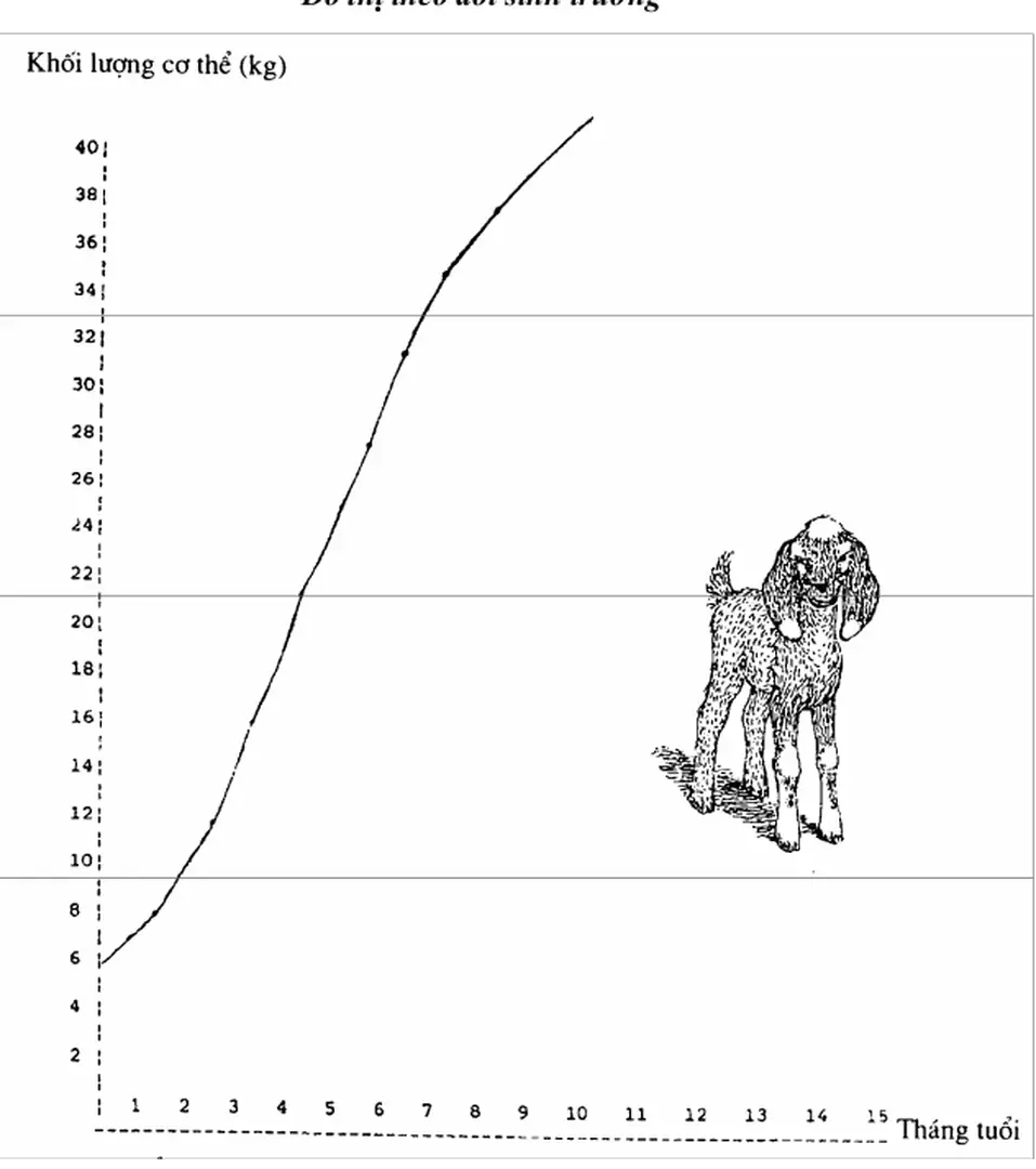 Đồ thị theo dừi sinh trưởng 