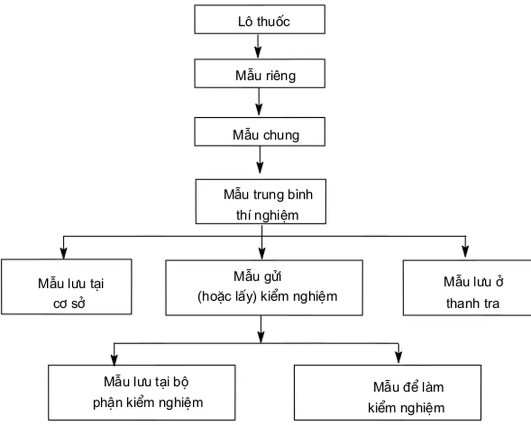 Hình 1.1. Sơ đồ qui trình lấy mẫu, lưu mẫu 