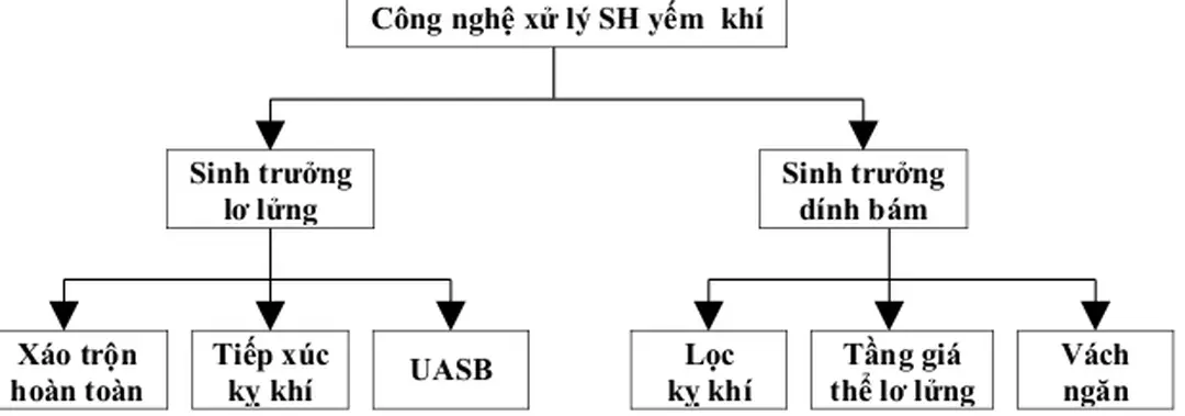 Hình 3.2  Các phương pháp xử lý sinh học yếm khí