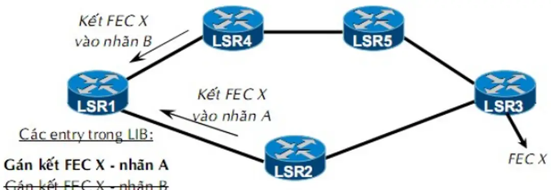 Hình 2.5: Duy trì nhãn bảo thủ