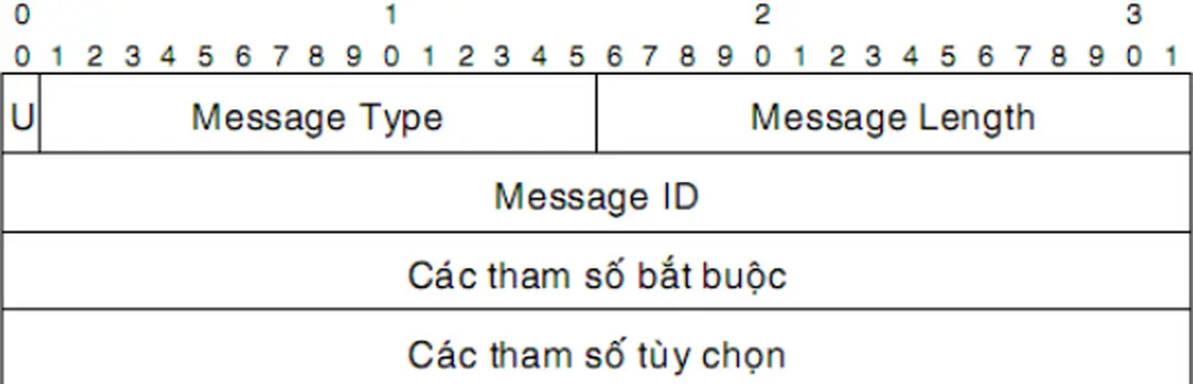 Hình 2.11: Format thông điệp LDP