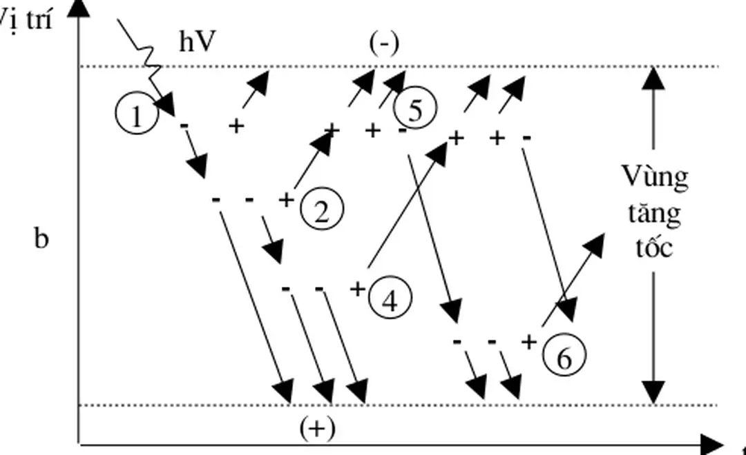 Hình 3.14   Mô tả quá trình nhân ( thác ) trong vùng tăng tốc