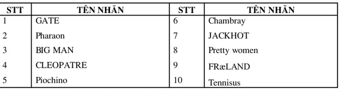 Bảng 2: Bảng thống kê nhãn mác sản phẩm