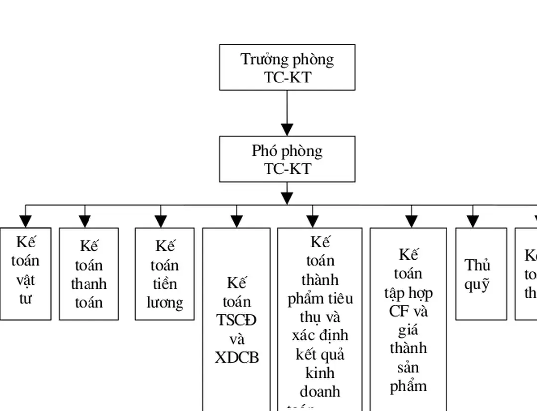 Sơ đồ 5: Bộ máy kế toán Công ty 20 