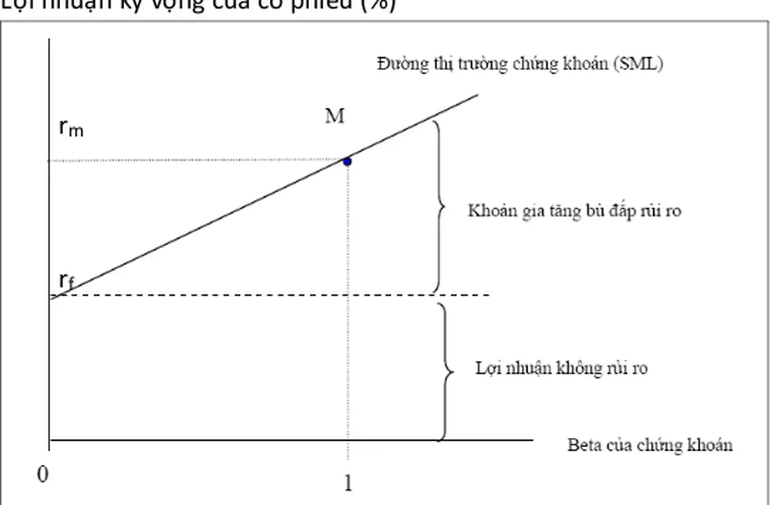 Hình dưới đây mô tả quan hệ giữa lợi nhuận kỳ vọng của chứng khoán với hệ số β của nó.