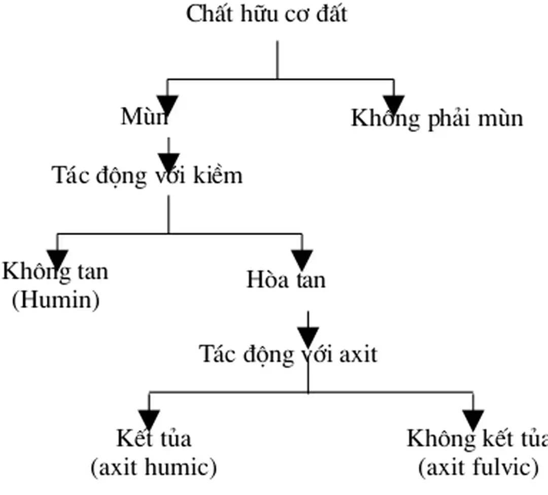 Sơ đồ phơng pháp đợc đa ra trong hình 1.4.