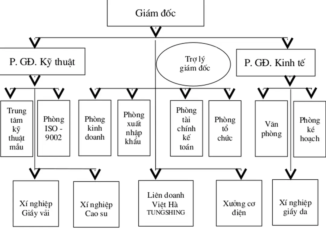Sơ đồ 2.7: Cơ cấu tổ chức quản lý của Công ty Da - Giầy Hà Nội 