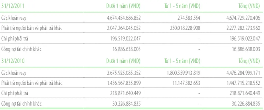 Bảng dưới đây trình bày chi tiết các mức đáo hạn theo hợp đồng còn lại đối với công nợ tài chính phi  phái sinh và thời hạn thanh toán như đã được thỏa thuận