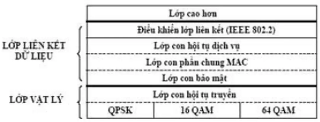 Hình 1 – Lớp giao thức trong IEEE 802.16