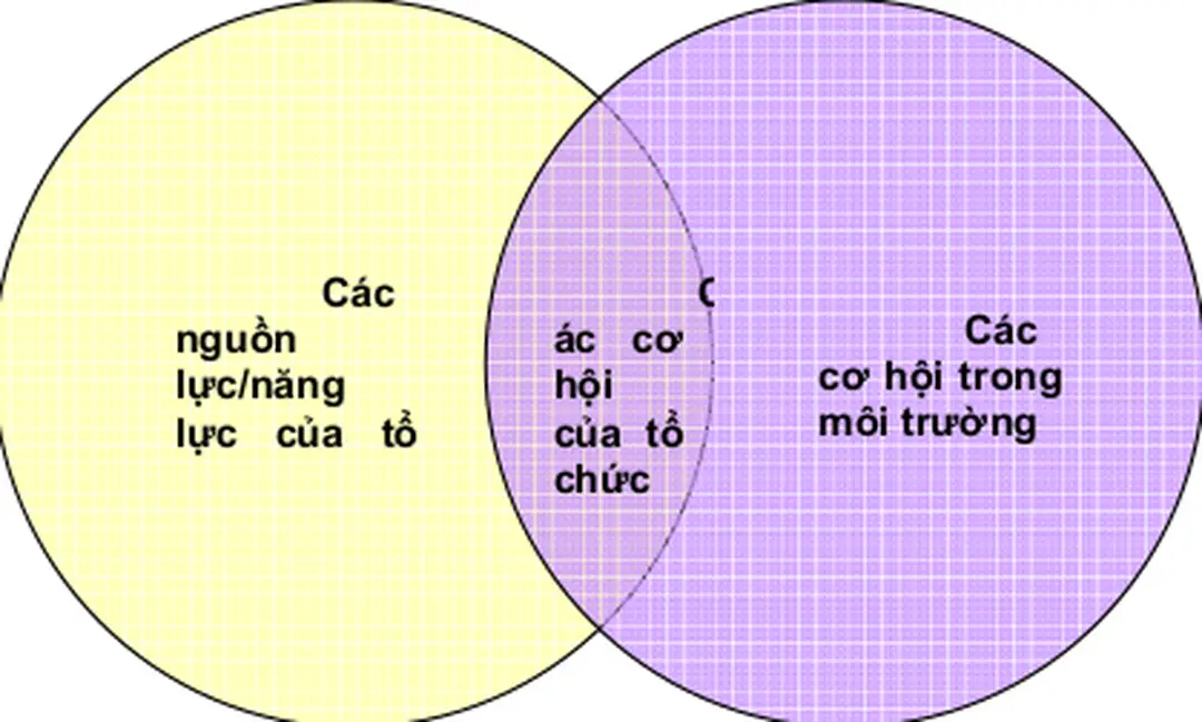 HÌNH 8.3 XÁC ĐỊNH CÁC CƠ HỘI CỦA TỔ CHỨC 