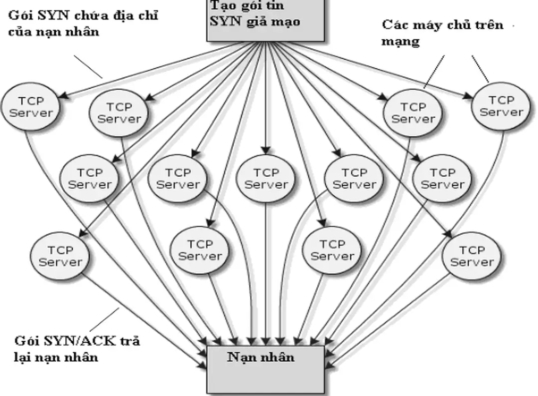 Hình 1-7: Tấn công kiểu DRDoS 4.1.3 Ăn trộm thông tin