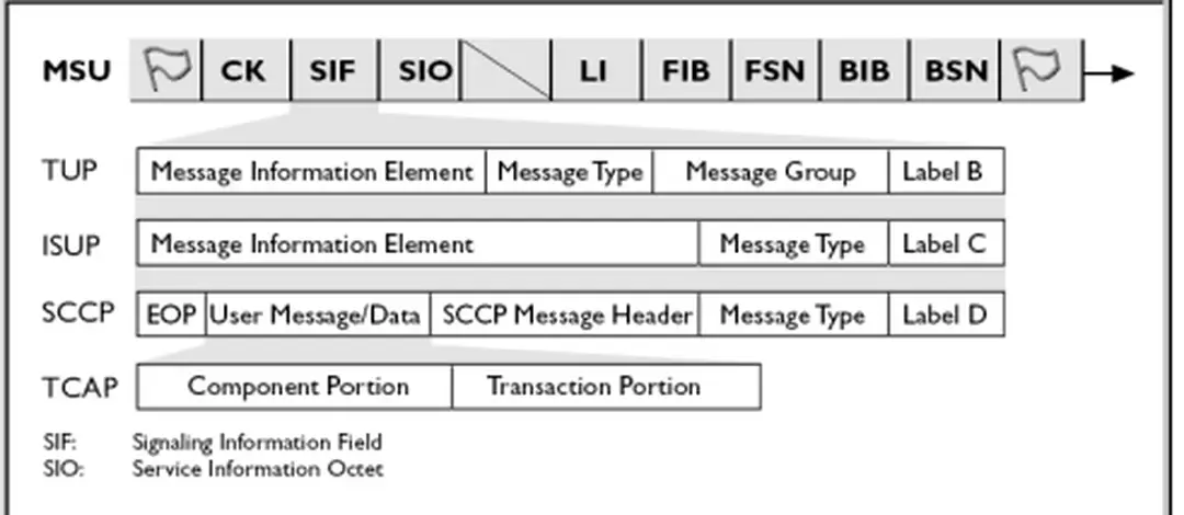 Hình 2.2 Cấu trúc của bản tin MSU