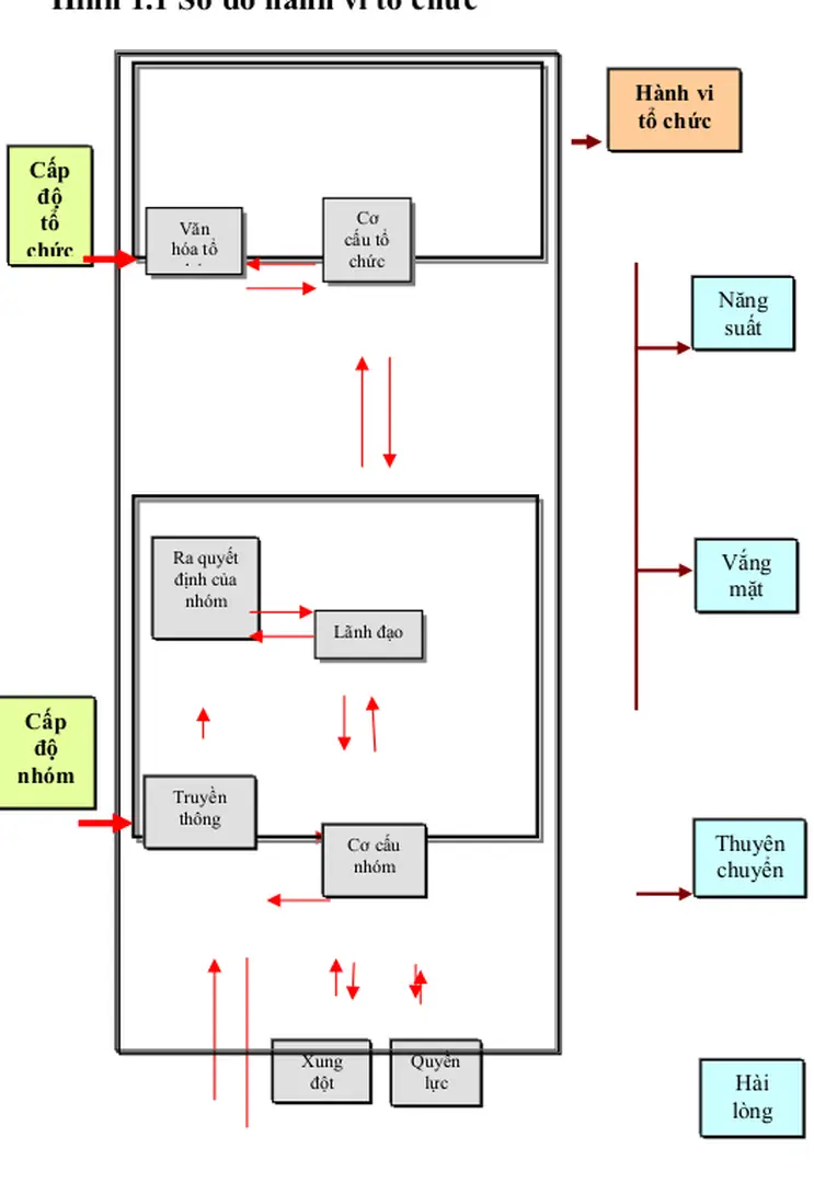 Hình 1.1 Sơ đồ hành vi tổ chức 