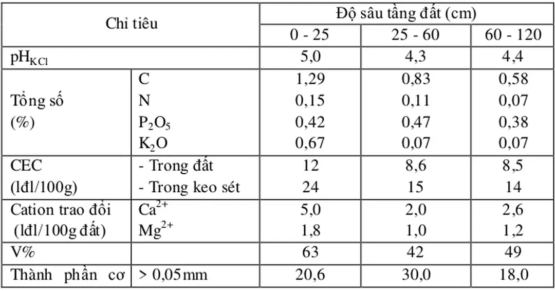 Bảng 14 - Kết quả phân tích lý hóa học phẫu diện Đ29 