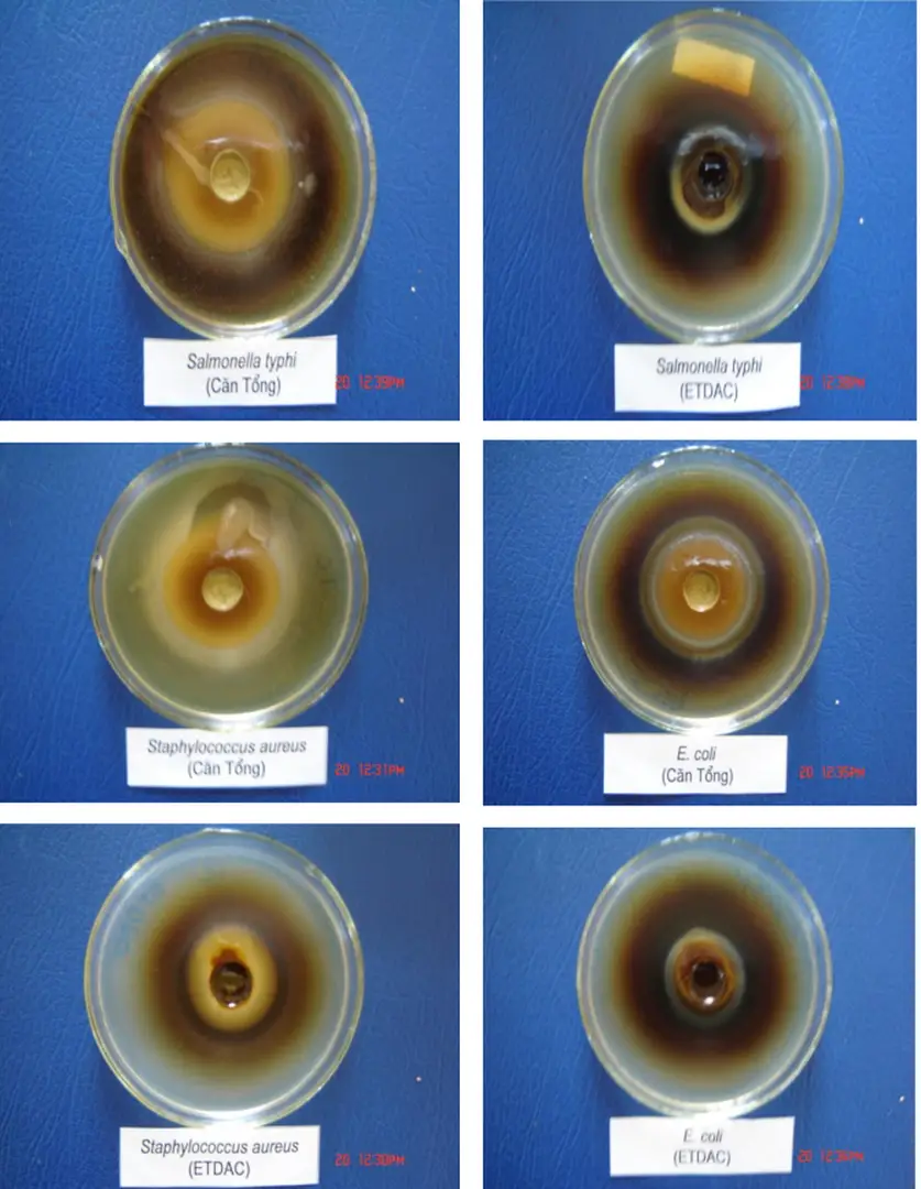 Hình 2.1.  Ảnh được gây ức chế xung quanh giếng thạch 