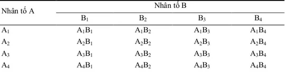 Sơ đồ bố trí thí nghiệm