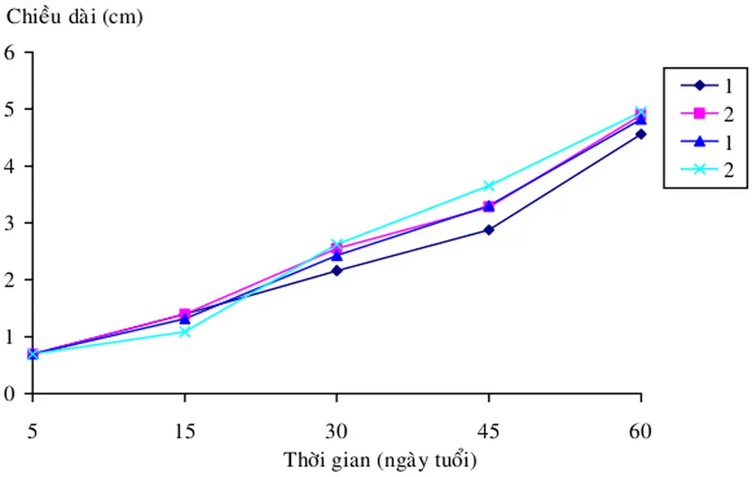 Đồ thị 4.4  Sự tăng trưởng chiều dài cá ở CT I và CT II  trong thời gian thí nghiệm