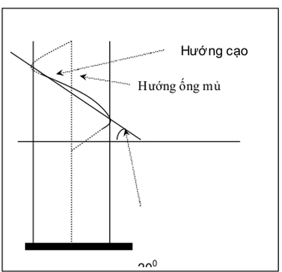 Hình 5.2: Hướng cạo 