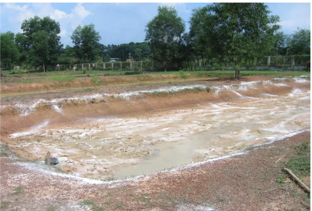 Hình 3.1  Chuẩn bị ao ương cá 