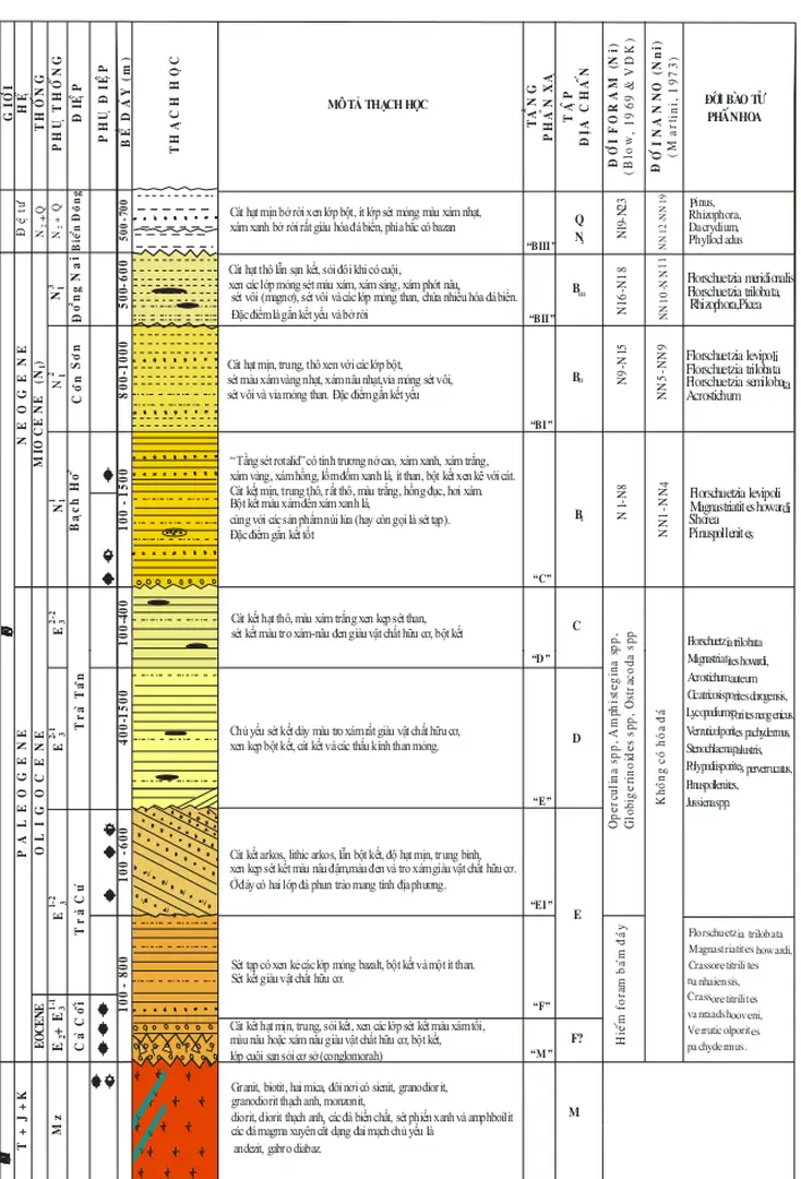Hình  1.3. CỘT ĐỊA TẦNG TỔNG HỢP BỂ CỬU LONG