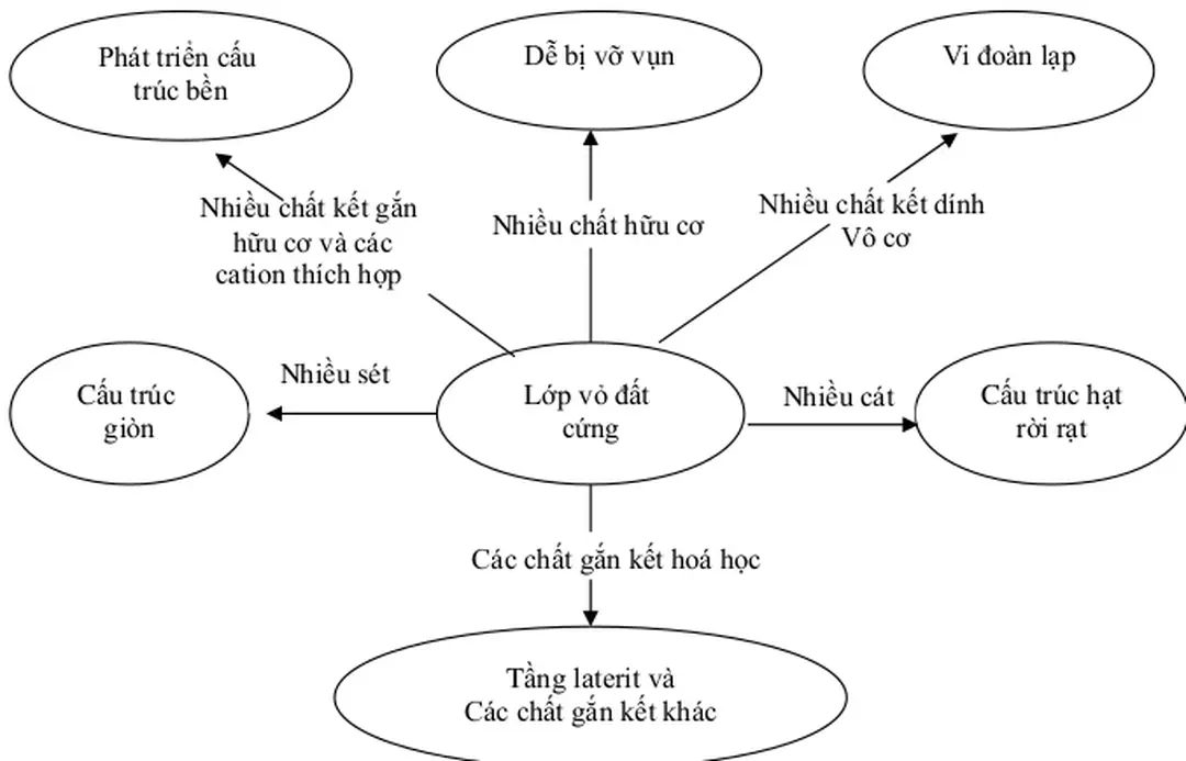 Hình 2. Lớp vỏ đất cứng trong mối quan hệ với tính chất khác nhau  của đất