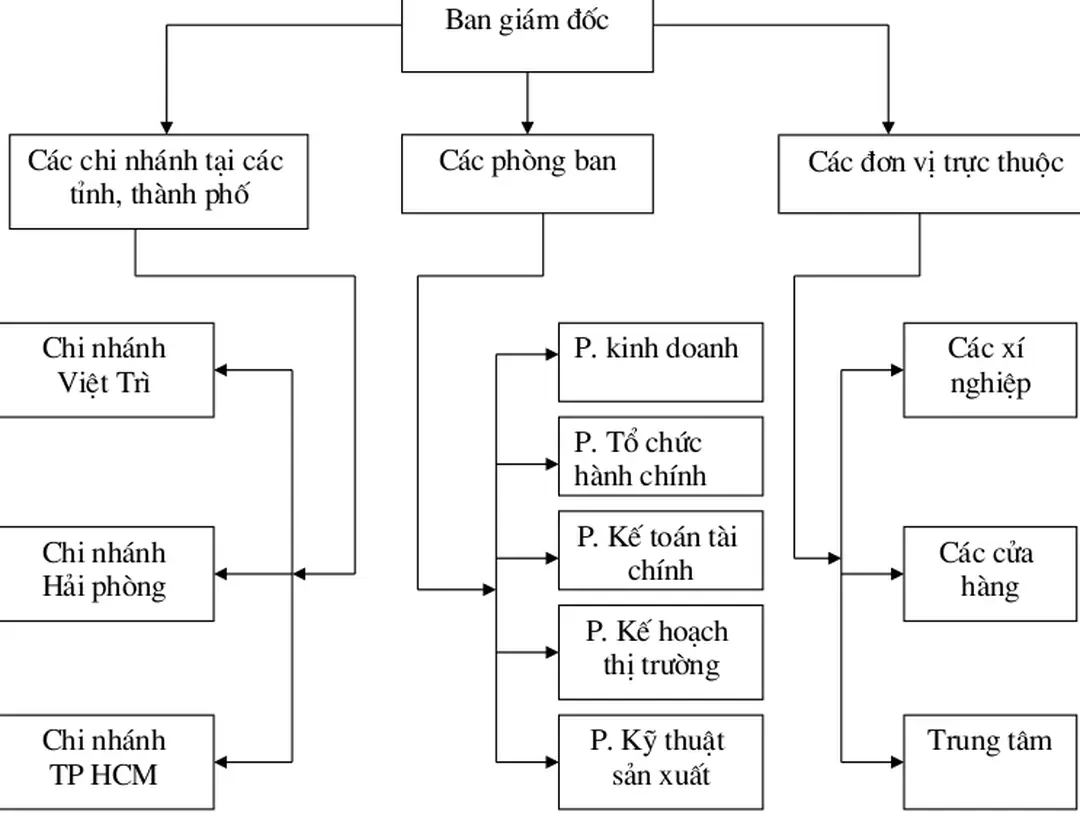 Sơ đồ tổ chức bộ máy quản lý Công ty thực phẩm miền Bắc.