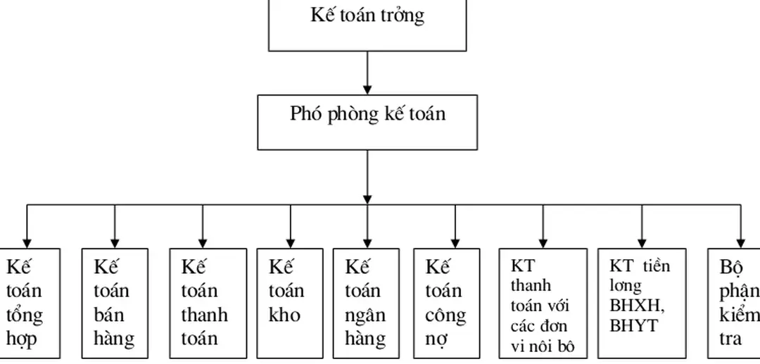 Sơ đồ tổ chức bộ máy kế toán của công ty thực phẩm Miền Bắc.