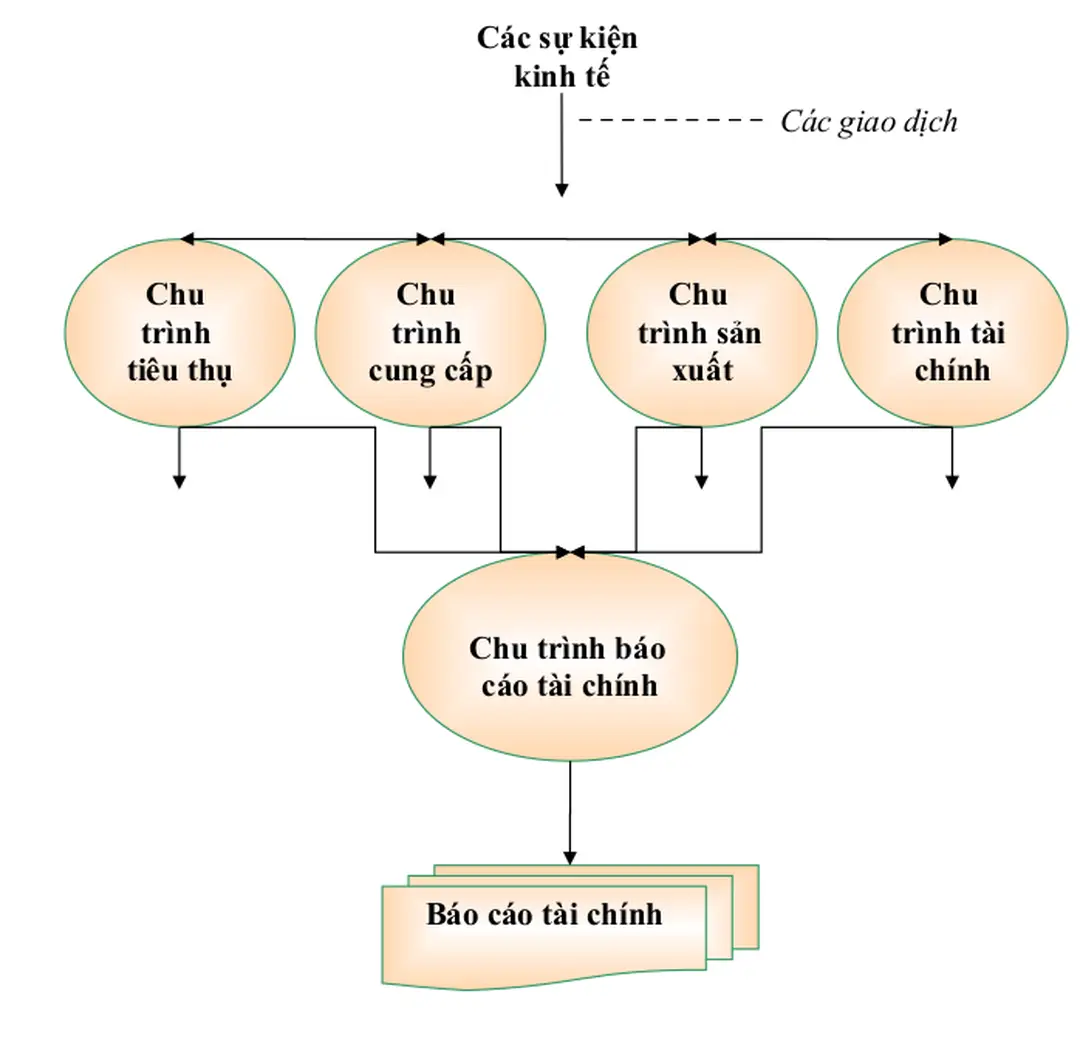 Hình 7:   Mô hình chu trình nghiệp vụ của một hệ thống thông tin kế 