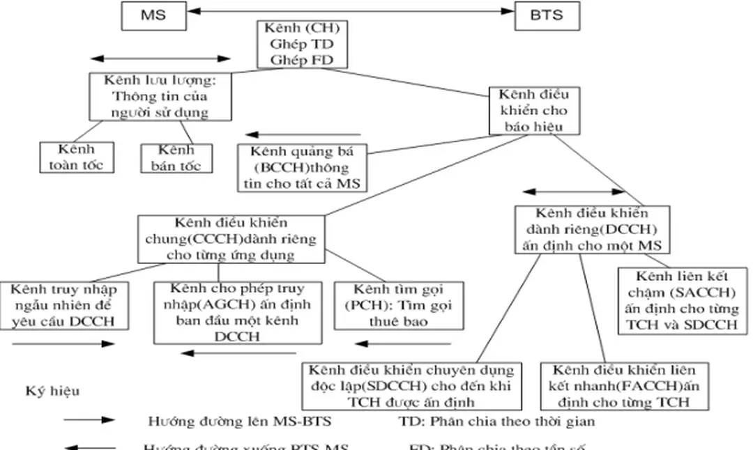 Hình 2-.  Phân loại kênh logic