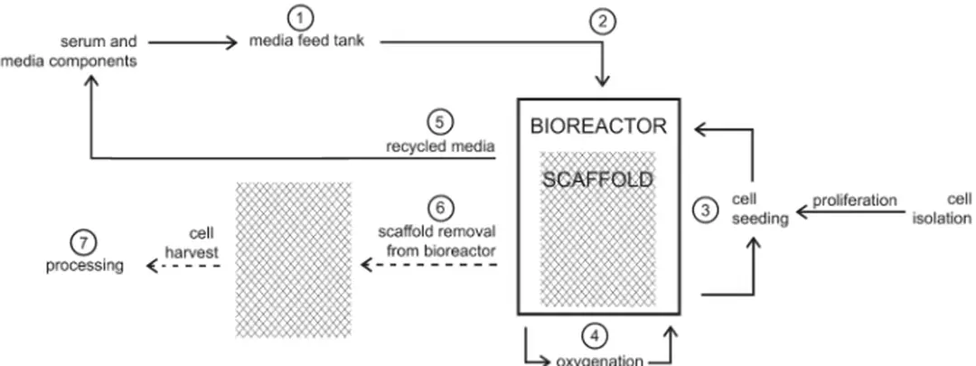 Hỡnh 2: biểu ủồ quy trỡnh nuụi cấy thịt liờn tục 
