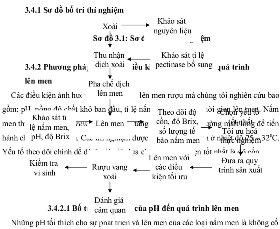 Sơ đồ 3.1: Sơ đồ bố trí thí nghiệm