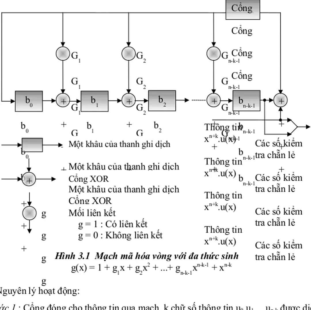 Hình 3.1  Mạch mã hóa vòng với đa thức sinh 