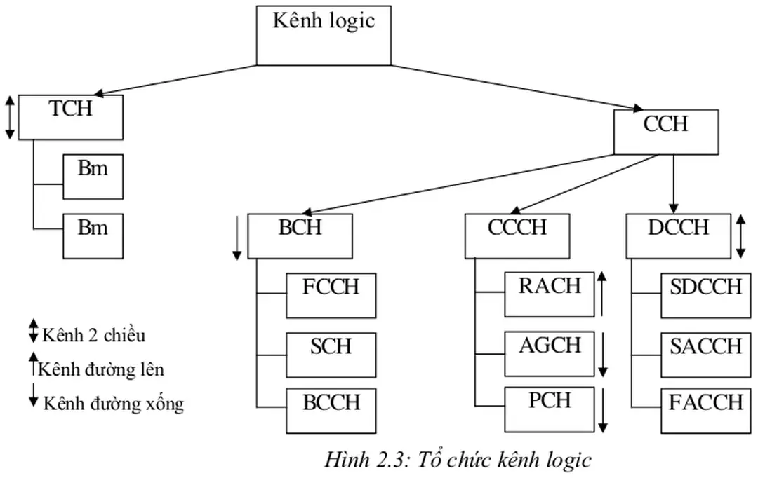 Hình 2.3: Tổ chức kênh logic