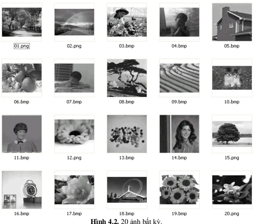 Hình 4.2. 20 ảnh bất kỳ. 