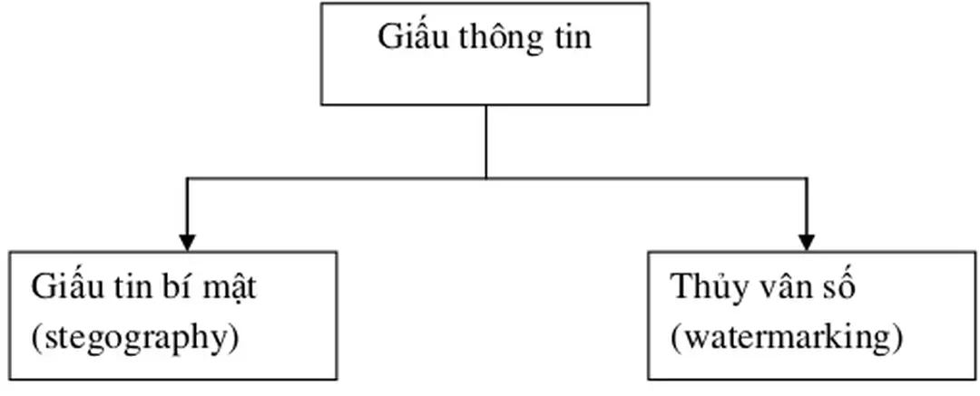 Hình 1.3. Sơ đồ phân loại giấu tin trong ảnh. 